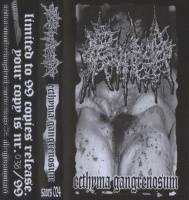 Proctalgia : Ecthyma Gangrenosum